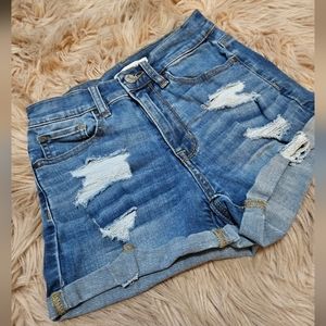 PacSun "The Shorty" Size 23